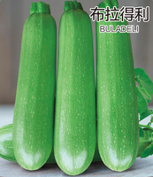 布拉得利